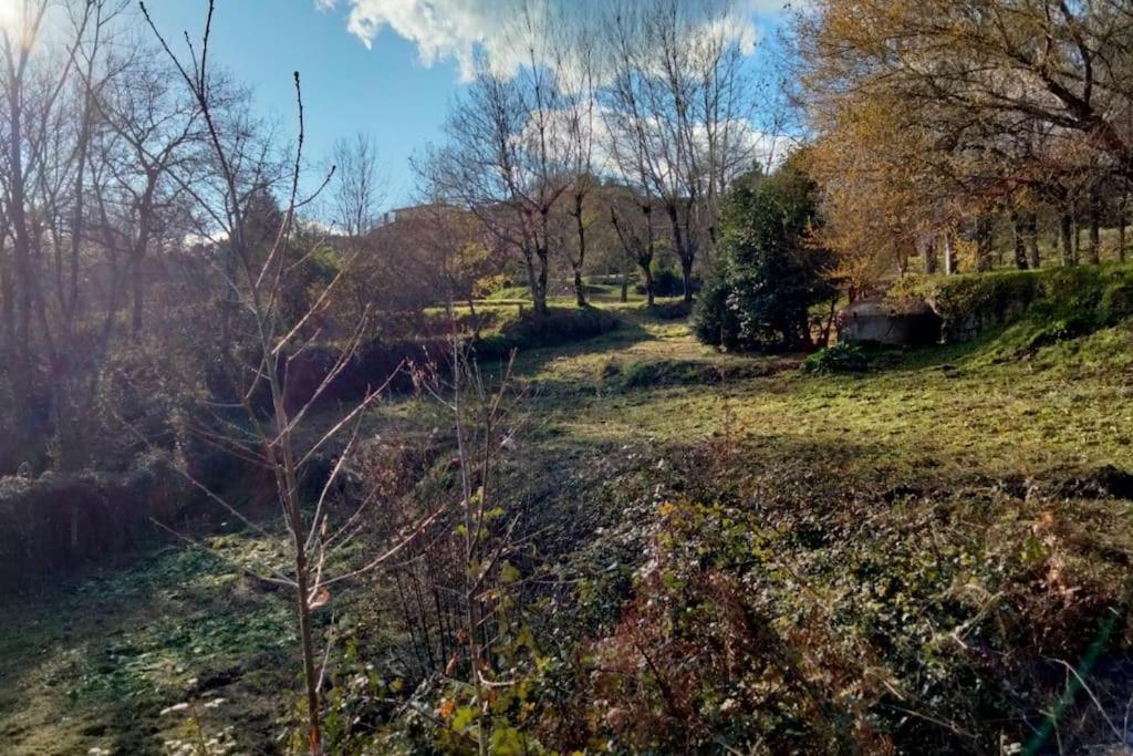 Confort, Fun And Leisure In Douro Rural Space Sande  外观 照片