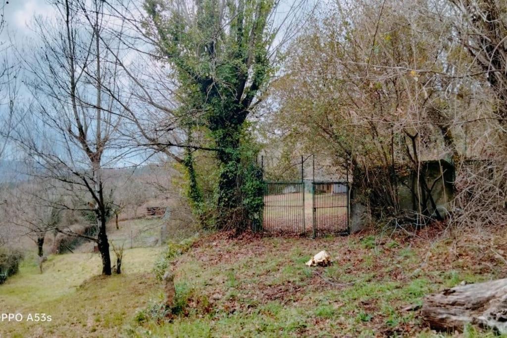 Confort, Fun And Leisure In Douro Rural Space Sande  外观 照片