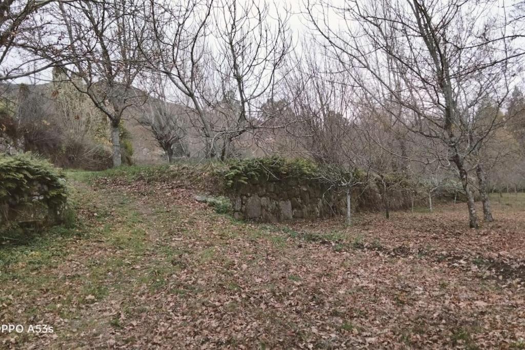 Confort, Fun And Leisure In Douro Rural Space Sande  外观 照片