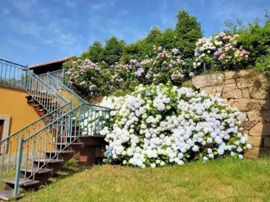 Confort, Fun And Leisure In Douro Rural Space Sande  外观 照片