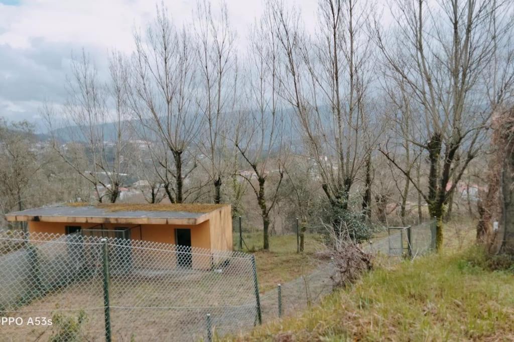 Confort, Fun And Leisure In Douro Rural Space Sande  外观 照片